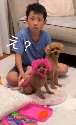 『嫌な予感…』犬と男の子が遊ぶ部屋を覗いてみた結果…まさかの『シュールすぎる姿』が414万再生「まつ毛ｗ」「こっち見ないで笑」と爆笑