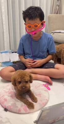 『嫌な予感…』犬と男の子が遊ぶ部屋を覗いてみた結果…まさかの『シュールすぎる姿』が414万再生「まつ毛ｗ」「こっち見ないで笑」と爆笑