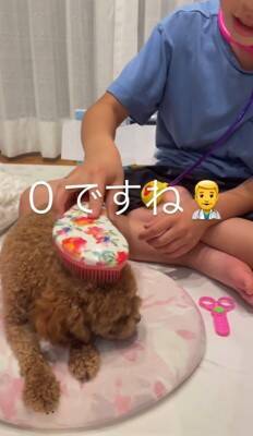 『嫌な予感…』犬と男の子が遊ぶ部屋を覗いてみた結果…まさかの『シュールすぎる姿』が414万再生「まつ毛ｗ」「こっち見ないで笑」と爆笑