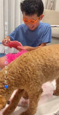 『嫌な予感…』犬と男の子が遊ぶ部屋を覗いてみた結果…まさかの『シュールすぎる姿』が414万再生「まつ毛ｗ」「こっち見ないで笑」と爆笑