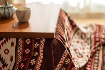 犬に『コタツ』は危険なの？考えられる事故やワンコのいる部屋で飼い主が気をつけるべきことまで