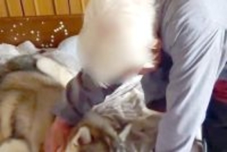 87歳おばあちゃんのベッドを『大型犬が占領した』結果→怒るかと思いきや…まるで『本当の孫のような光景』に反響「最高の家族」「幸せすぎ」