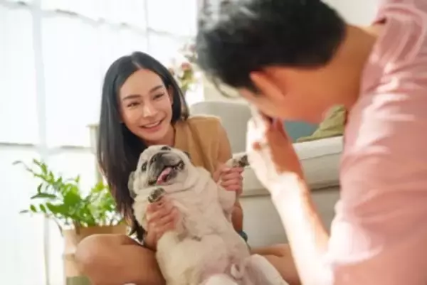 残しておきたい『愛犬の写真』３つ　こまめに撮影すべき理由や用途とは