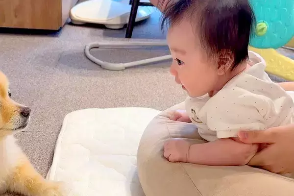 赤ちゃんが『うつ伏せのトレーニング』をした結果→近くで犬が見守って…『本当の兄のような光景』が18万再生「優しい」「すべてが微笑ましい」