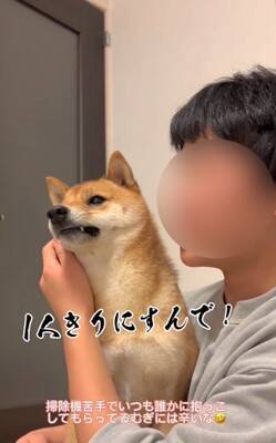 柴犬を脅してみた結果…まるで『漫才のようなやり取り』が面白すぎると495万再生「脅し方が可愛すぎるｗ」「ほぼコント」と絶賛の声