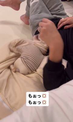 『もぉっ！しつこいな！』犬をこちょこちょした結果…文句を言う姿が76万1000再生　『実は嬉しい』という本音が隠せていない表情が話題に