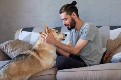犬が『人に体をぶつけてくる』心理とは？愛犬の行動にどんな意味が隠されているの？