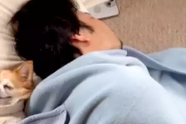 実家で爆睡する旦那の横で、犬が寄り添って…もはや夫婦のような『人間すぎる光景』が53万再生「幸せそうすぎてｗ」「平和な世界」と絶賛の声