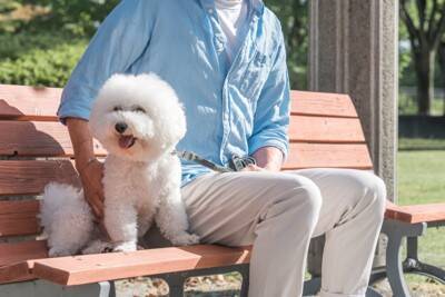 犬が飼い主に『お尻をつけて座る』心理５選　密着してくる理由や適切な対応まで解説