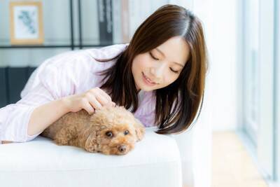犬が飼い主に『お尻をつけて座る』心理５選　密着してくる理由や適切な対応まで解説