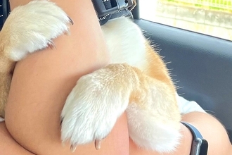 犬の幼稚園に到着した犬→まるで人間の子どものような『登園拒否の方法』に1万いいね集まる「解せぬお顔がｗ」「なんて可愛いの」と絶賛の声