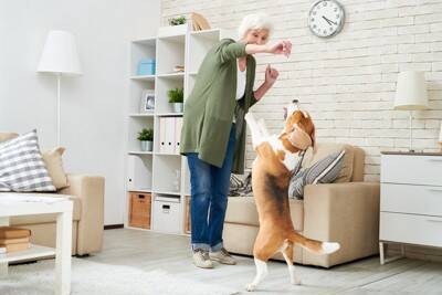 犬を落ち着かせる『便利グッズ』5つ　愛犬におとなしくしてほしいときに使えるアイテムとは？