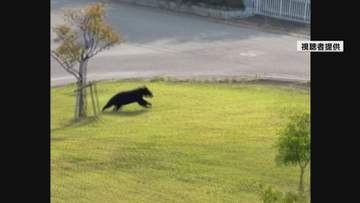 相次ぐクマ目撃で緊張高まる 工業団地外に出た可能性 消防がドローンで行方追跡 寒河江
