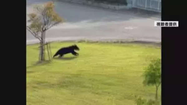 相次ぐクマ目撃で緊張高まる 工業団地外に出た可能性 消防がドローンで行方追跡 寒河江
