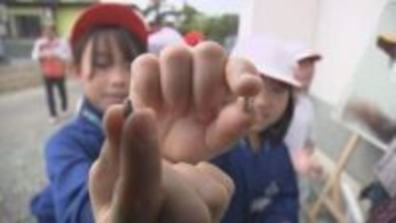 「元気に育ってほしい」ベニバナ文化を学ぶ体験授業 世界農業遺産認定へ継承の一歩　山形・中山町