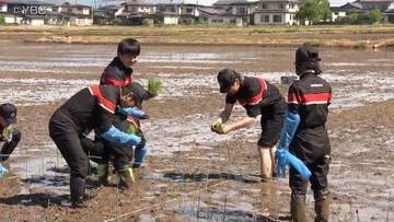 田植えで社内交流　自動車販売会社社員らが苗を手植え　収穫したコメは子ども食堂に寄付も　山形市
