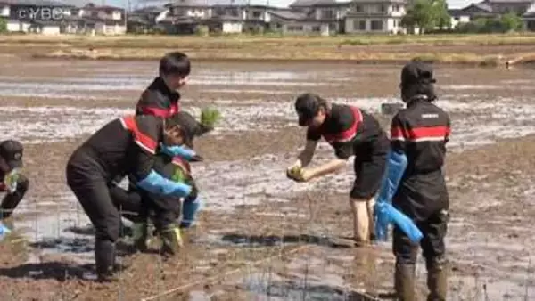田植えで社内交流　自動車販売会社社員らが苗を手植え　収穫したコメは子ども食堂に寄付も　山形市