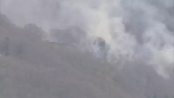 人気の展望台近くの山林火災が鎮火　立木や枯れ草などが焼ける　山形県山形市の西蔵王展望台付近