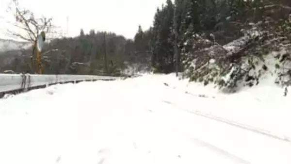 車には大きな傷なし　車のそばで出血し倒れていた男性が死亡　事件事故両面で捜査　山形・白鷹町