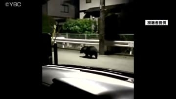 山形県内で実施された緊急銃猟16件で全国最多　自治体と猟友会などの連携が奏功