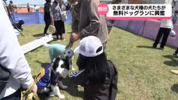 様々な種類の犬や飼い主が集まる交流イベント　フォトスポットやドッグランに興奮　山形県鶴岡市