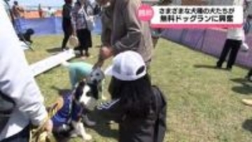 様々な種類の犬や飼い主が集まる交流イベント　フォトスポットやドッグランに興奮　山形県鶴岡市