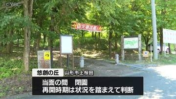 クマの目撃相次ぐ山形県内　山形市内の公園は当面閉園に　小屋でコメを食べる姿や線路上での目撃も