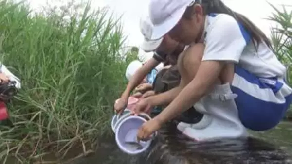 フナの稚魚300匹を地元の川に放流　自然を守る大切さ学ぶ　山形県米沢市