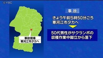 サクランボ収穫作業中に脚立から落下し男性が大けが　山形県寒河江市