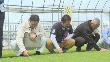 田植えシーズン前に苗の生育を確認 つや姫と雪若丸は順調 高温対策も呼びかけ