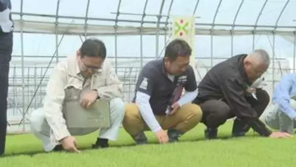 田植えシーズン前に苗の生育を確認 つや姫と雪若丸は順調 高温対策も呼びかけ