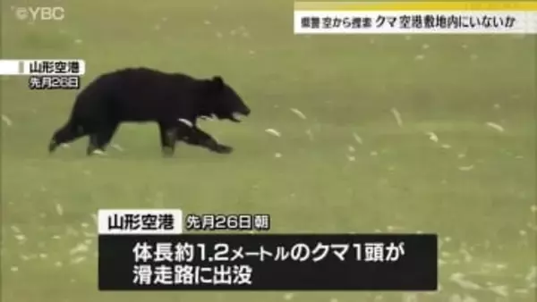 山形空港に出没のクマすでにいないか　5日早朝、山形県警ヘリがっさんが上空から捜索も見つからず
