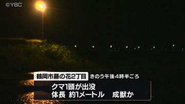 クマの出没相次ぐ　老人ホームや観光施設が立ち並ぶエリアにも　現場一帯では一時交通規制も　山形・鶴岡市／三川町