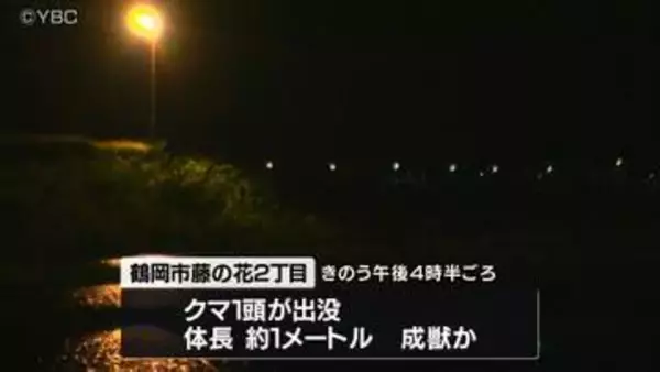 クマの出没相次ぐ　老人ホームや観光施設が立ち並ぶエリアにも　現場一帯では一時交通規制も　山形・鶴岡市／三川町