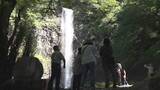 「豪快な水煙と幻想的な光 酒田市の玉簾の滝で夏のライトアップ開始へ 県内一の落差63メートル」の画像1