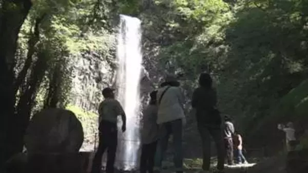豪快な水煙と幻想的な光 酒田市の玉簾の滝で夏のライトアップ開始へ 県内一の落差63メートル