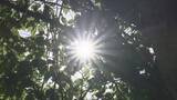 「各地で夏日 山形市は今年最高28.5度観測 県が熱中症への注意呼びかけ」の画像1
