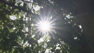 各地で夏日 山形市は今年最高28.5度観測 県が熱中症への注意呼びかけ