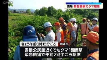 クマの目撃情報が相次ぎ猟友会が緊急銃猟でクマ1頭を駆除　山形県南陽市