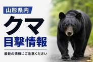 【寒河江・高畠】18日午前　寒河江市の長岡山付近でクマ目撃