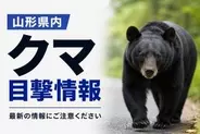 【寒河江・高畠】18日午前　寒河江市の長岡山付近でクマ目撃