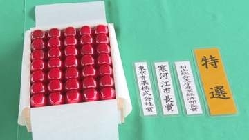 「最高のサクランボ」紅秀峰の品質競う品評会 最高賞2部門で寒河江の生産者