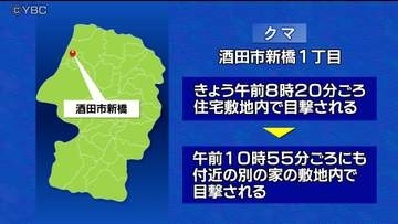 クマの目撃相次いだ山形県酒田市で緊急銃猟　クマ１頭を駆除　被害なし