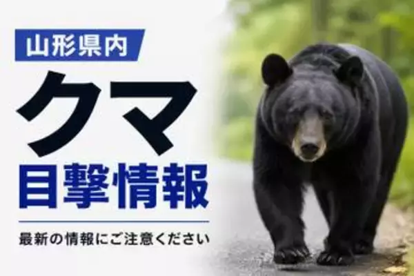 【舟形・酒田】6日酒田市でクマの目撃相次ぐ