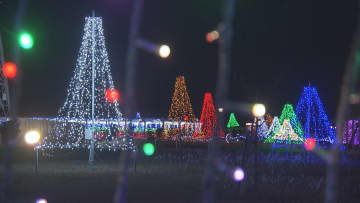 鶴岡市で藤棚の15万個LEDイルミネーションきらめく　住民有志が飾り付け