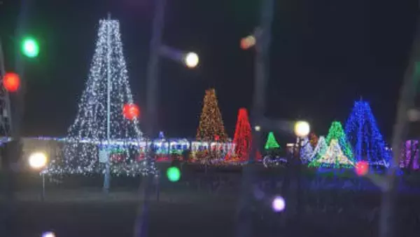 鶴岡市で藤棚の15万個LEDイルミネーションきらめく　住民有志が飾り付け