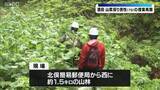 「山菜取りに山に入ってから行方が分からなくなっていた山岳遭難で一人の遺体発見　遭難者か　山形県酒田市」の画像1