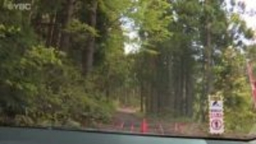 クマ出没警報発表中に再び　山菜採りの男性（50）が背後からクマに襲われて顔面骨折　山形県上山市
