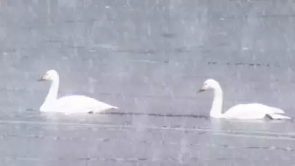 二十四節気「小寒」　山形県内6日にかけて大雪となる所も　平地で40～50センチ