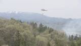 「山林火災でヘリ2機が放水 消防が消火活動続行 大江町で鎮火に至らず」の画像1